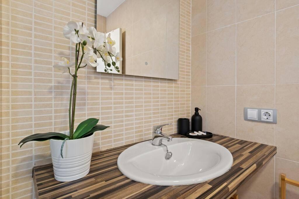 Estudio Nice Stay Dos Aceras Málaga Eksteriør billede